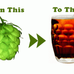 hops2brew_beer